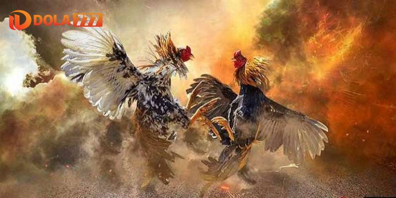 Cung cấp đầy đủ thông tin cá nhân một chính xác
