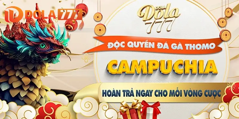 Dola777 là thương hiệu vững chắc và uy tín