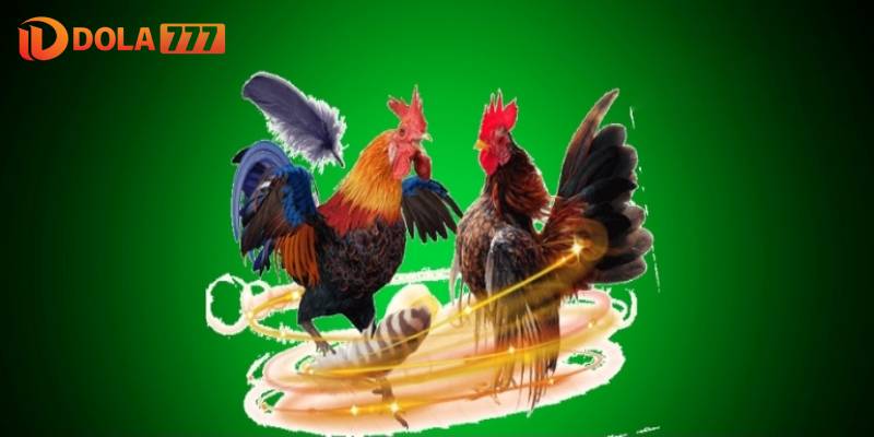 Những điều kiện cần đáp ứng trước khi đăng ký DOLA777