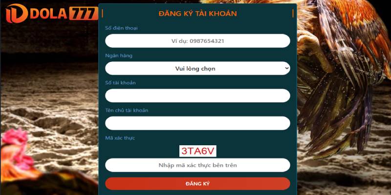 Quy trình 3 bước đăng ký tài khoản cá cược thành công