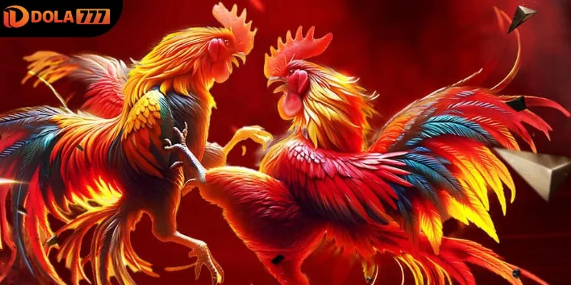 Sảnh cược đá gà mang đến nhiều trận đấu hay, hấp dẫn